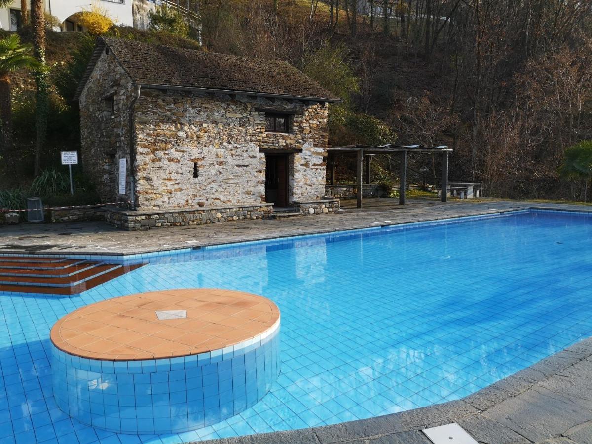 1 Zimmer Apartment Mit Seesicht Und Pool Gambarogno Εξωτερικό φωτογραφία