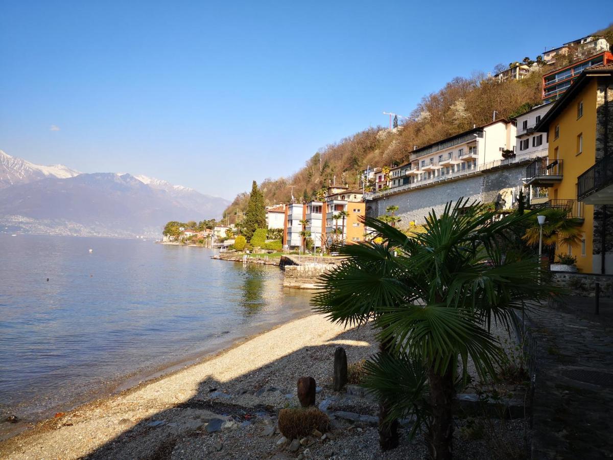 1 Zimmer Apartment Mit Seesicht Und Pool Gambarogno Εξωτερικό φωτογραφία