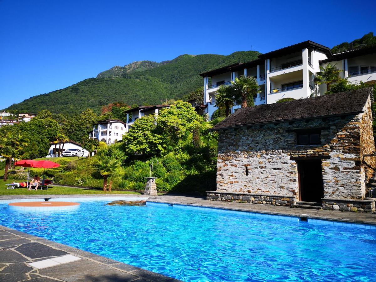 1 Zimmer Apartment Mit Seesicht Und Pool Gambarogno Εξωτερικό φωτογραφία