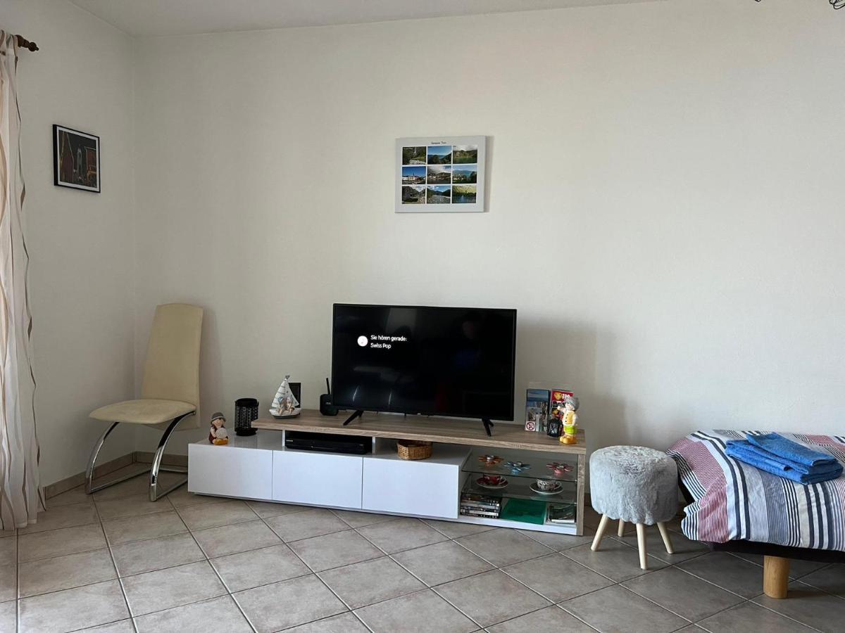 1 Zimmer Apartment Mit Seesicht Und Pool Gambarogno Εξωτερικό φωτογραφία